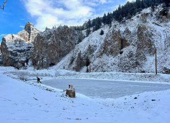 silver ice park