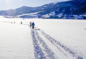 Nordic Ski & Snowshoe